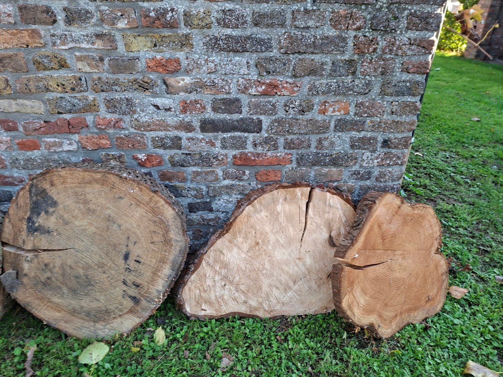 mooie gedroogde boomschijven, Minder dan 3 m³, Ophalen of Verzenden, Overige houtsoorten, Blokken