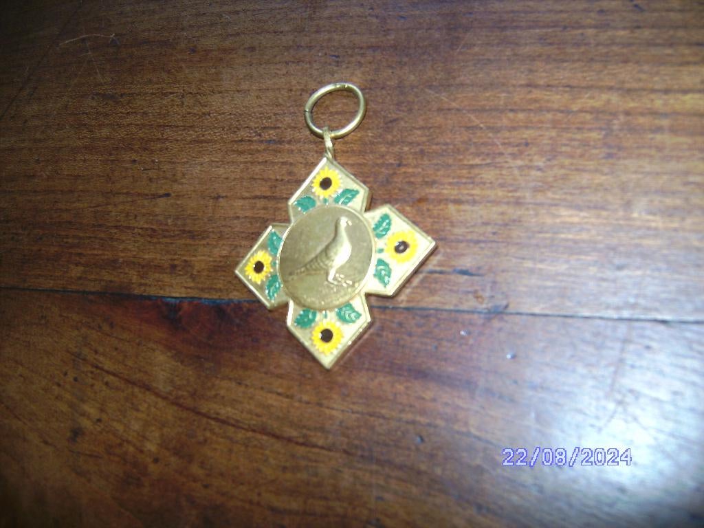 medaille met kleuren Duivensport brons messing tent 1953, Ophalen of Verzenden, Overige materialen, Nederland