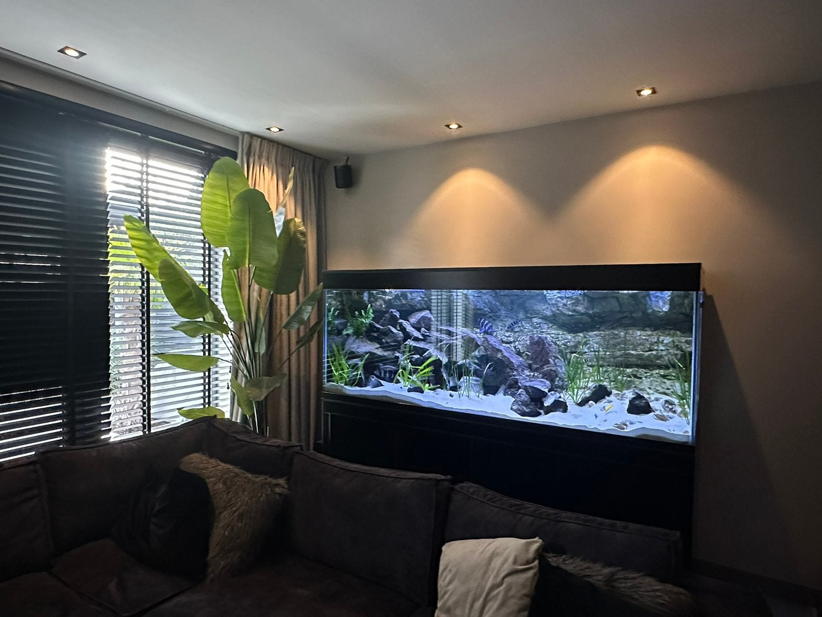 Aquarium (moet zo snel mogelijk weg), Ophalen, Gebruikt, Leeg aquarium
