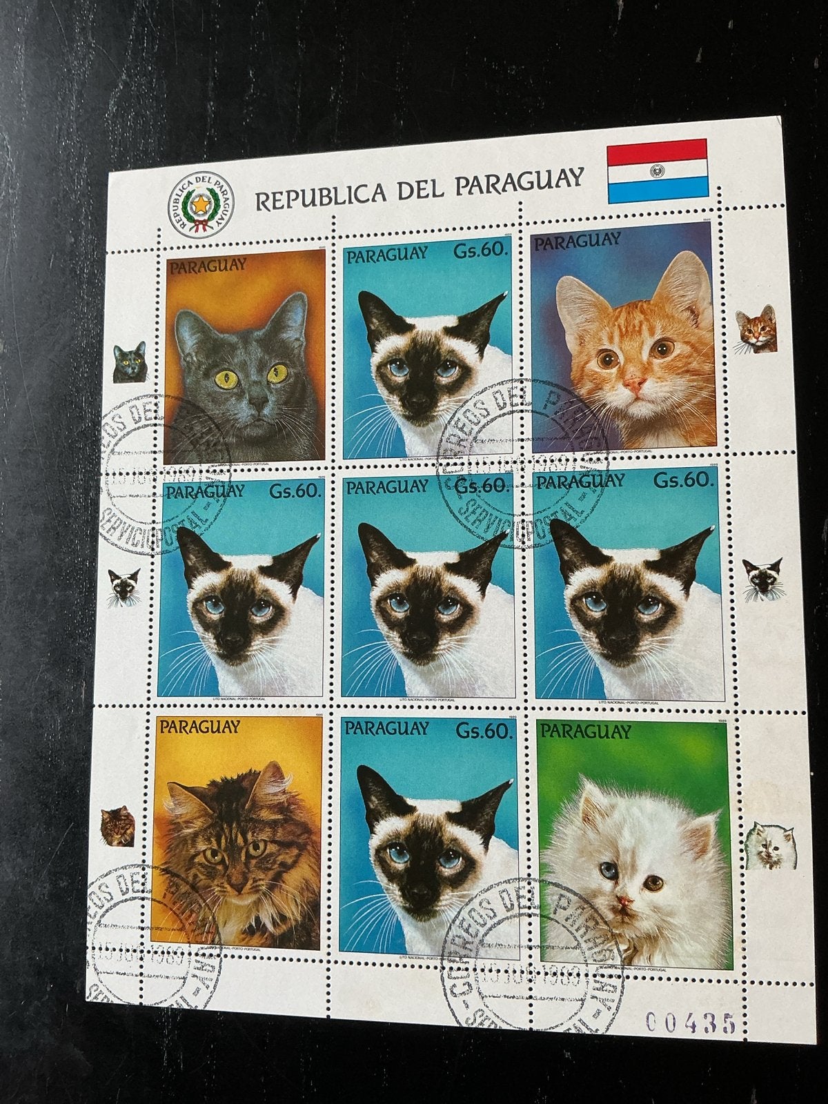 Paraguay postzegelvel katten - Gestempeld, Postzegels en Munten, Postzegels | Thematische zegels, Ophalen of Verzenden, Gestempeld