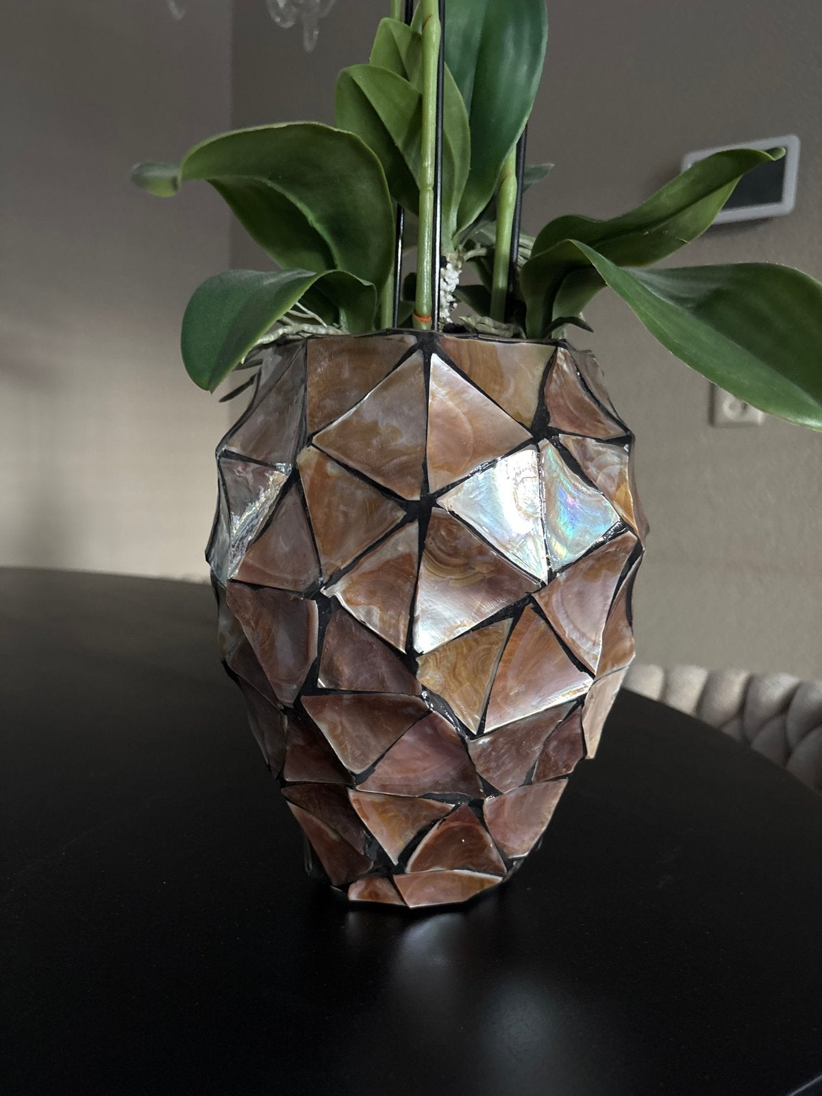 Schelpenvaas Eric Kuster stijl, Bruin, Natuurlijk materiaal, Inclusief decoratie, Ophalen of Verzenden