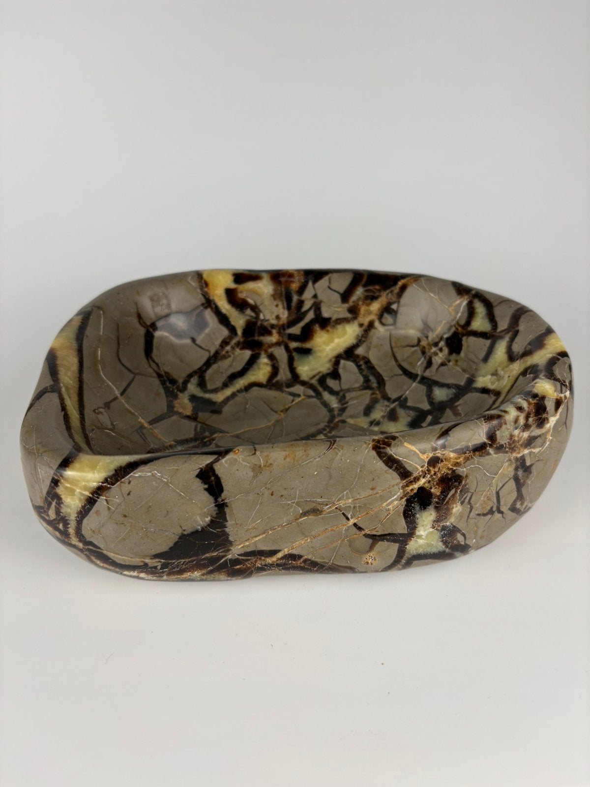 Septarie schaal 2,6 kg, Ophalen of Verzenden, Mineraal