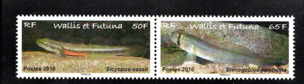 VISSEN. POSTFRIS. jaar 2010; wallis et futuna, Ophalen of Verzenden, Postfris, Dier of Natuur