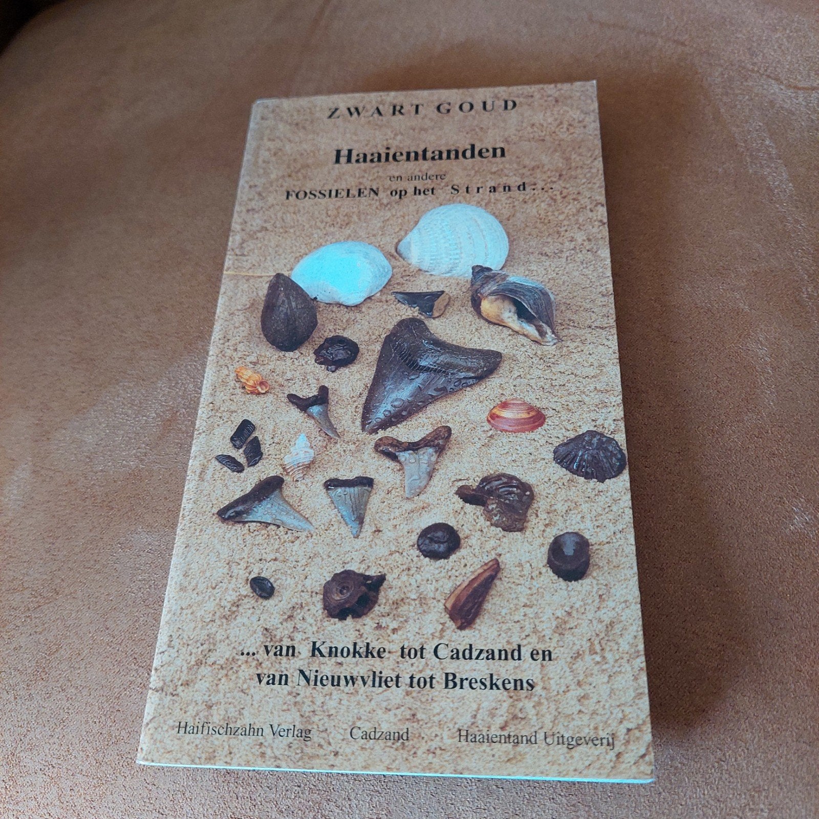 Zwart Goud: Haaientanden en andere fossielen op het strand, Boeken, Ophalen of Verzenden, Zo goed als nieuw, Overige onderwerpen