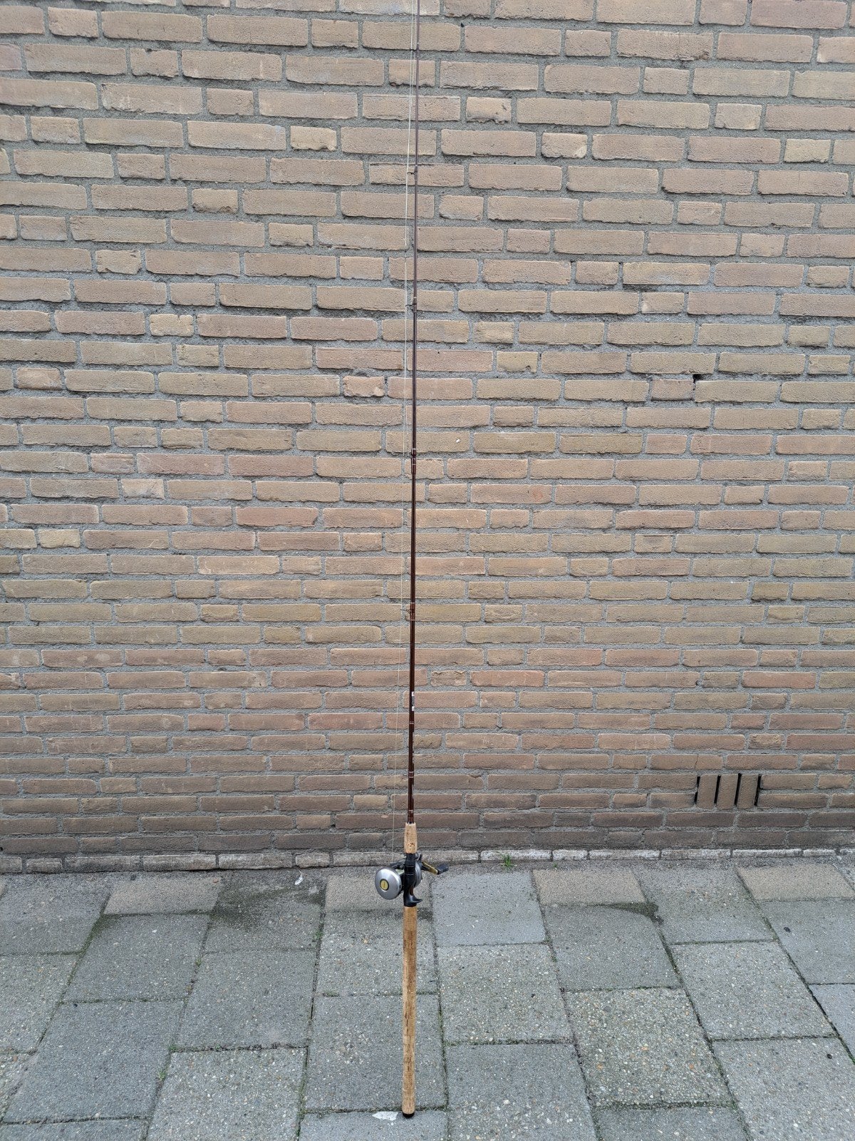 Rozemeijer, cast en trol hengel., Watersport en Boten, Ophalen, Zo goed als nieuw, Werphengel