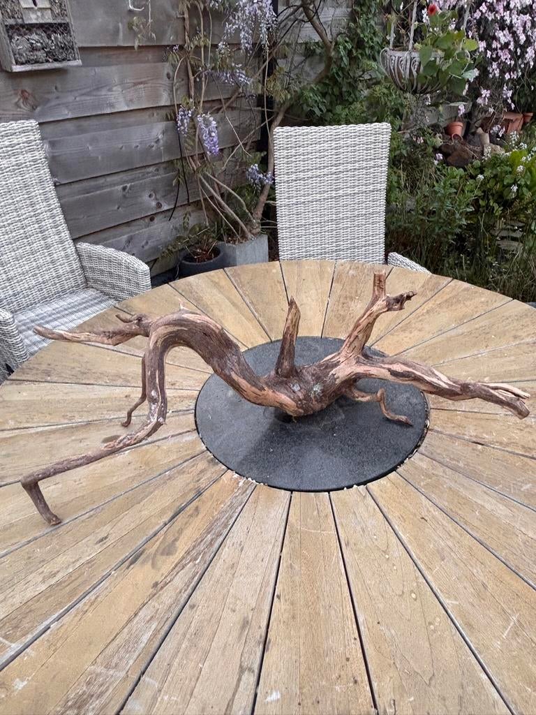Groot stuk kienhout, Ophalen, Gebruikt, Plant(en), Steen of Hout