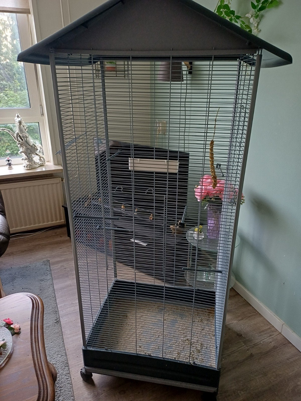 Te koop mooi vogel kooi is over bodig alles er bij, Ophalen