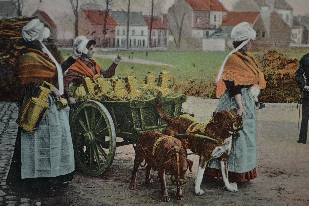 frankrijk parijs 1908 hondenkar melk meisjes agent melkbus, Ophalen of Verzenden, Voor 1920, Gelopen, Sterren en Beroemdheden