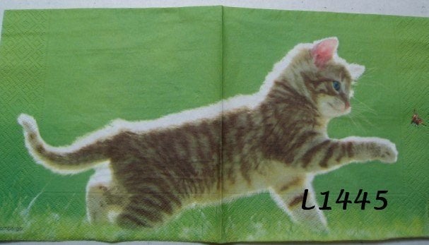 Servetten decoupage/bullet journal - Kat L1445, Verzenden, Nieuw