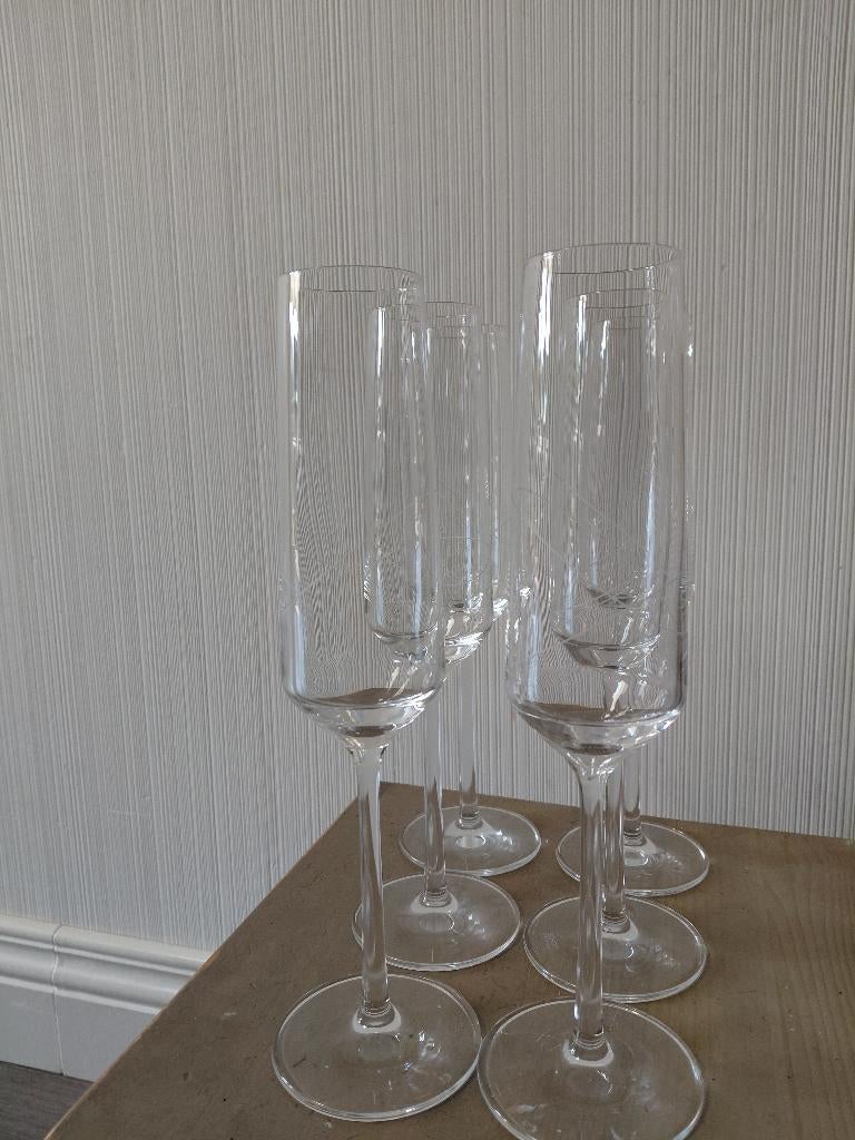 Schott Zwiesel Champagneglazen set van 6, Ophalen, Zo goed als nieuw, Overige typen
