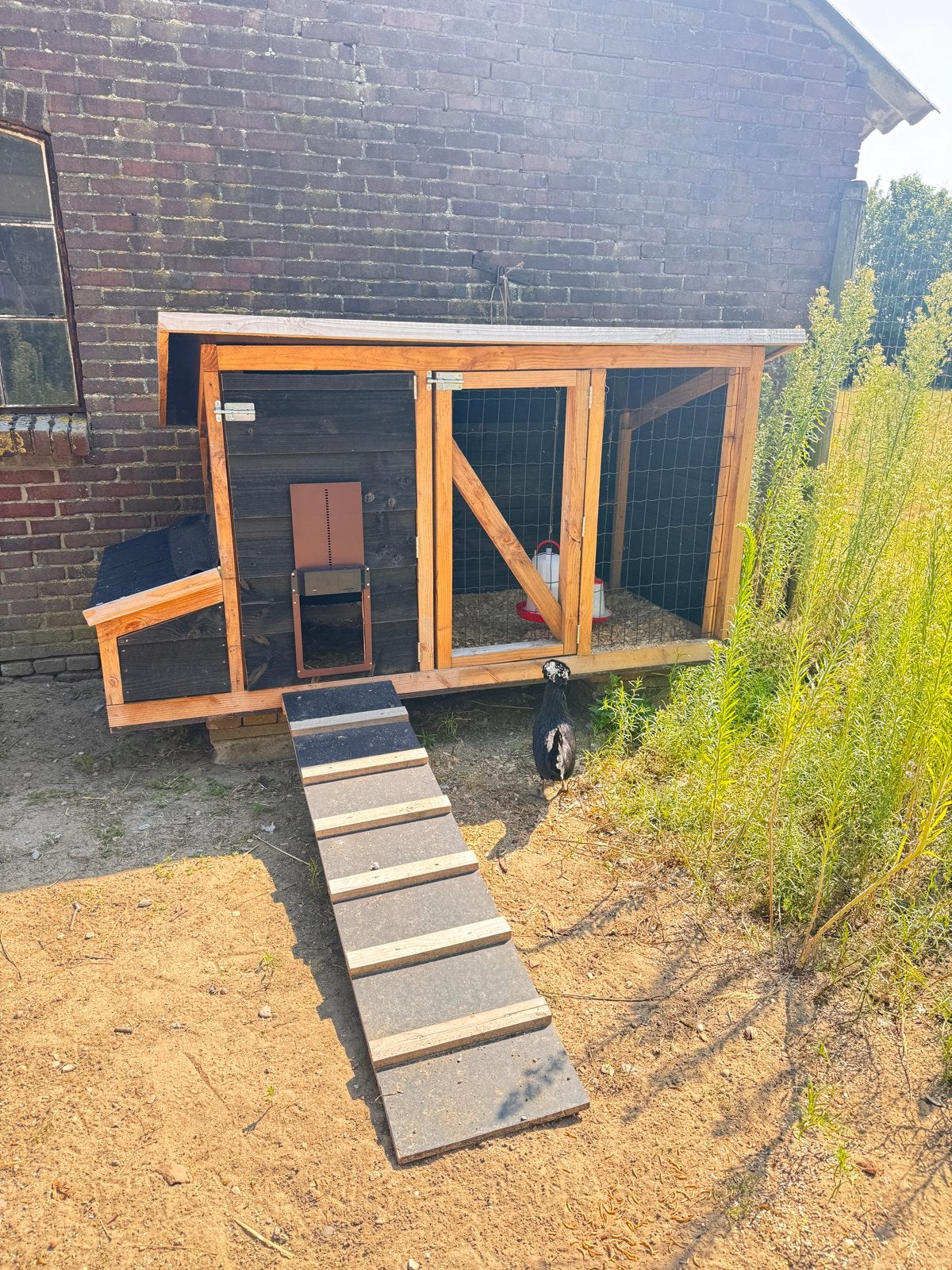 Nieuw kippenhok met 3 kippen, Dieren en Toebehoren, Ophalen, Hout, Overige typen