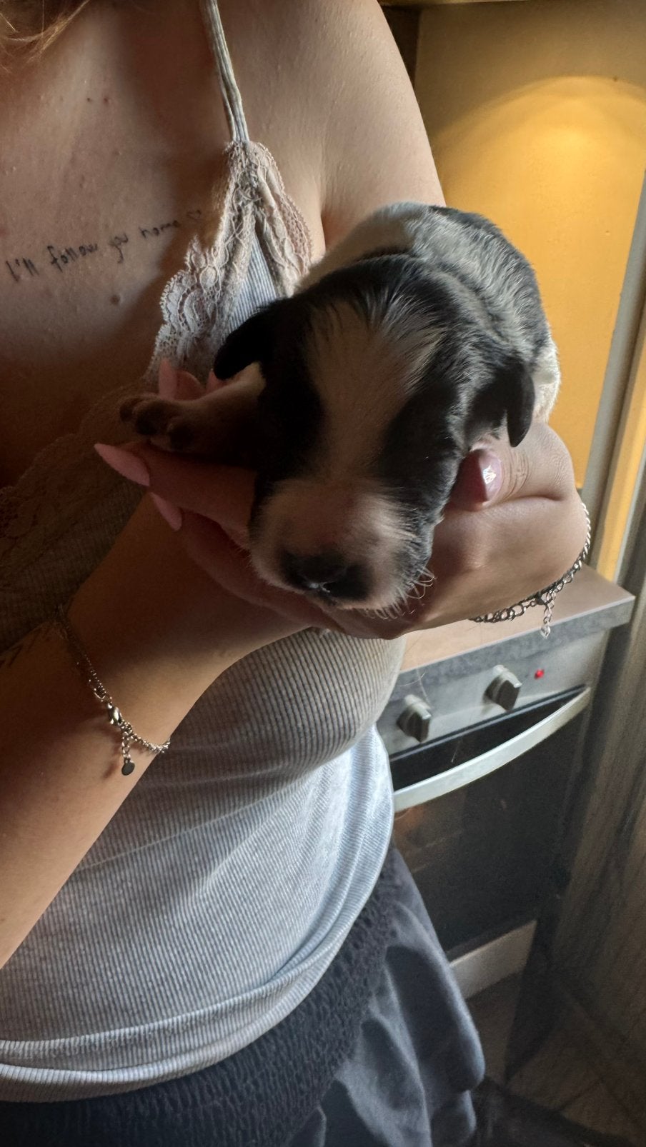 Mooie pups te koop, 8 tot 15 weken, Parvo, Meerdere, Meerdere dieren