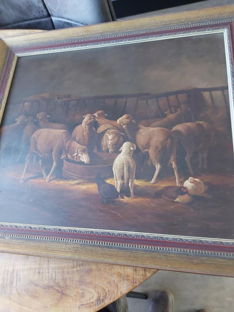Mooi schilderij met schaapskooi BIEDEN, Ophalen