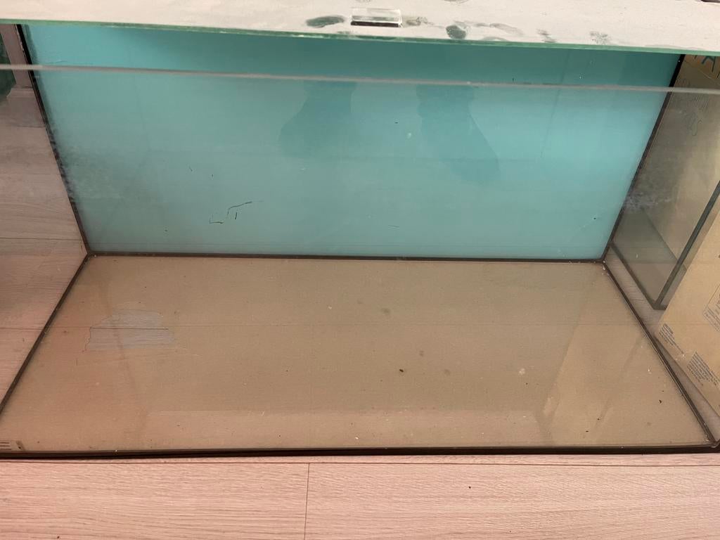 Complete partij aquariumspullen, Ophalen, Zo goed als nieuw, Leeg aquarium