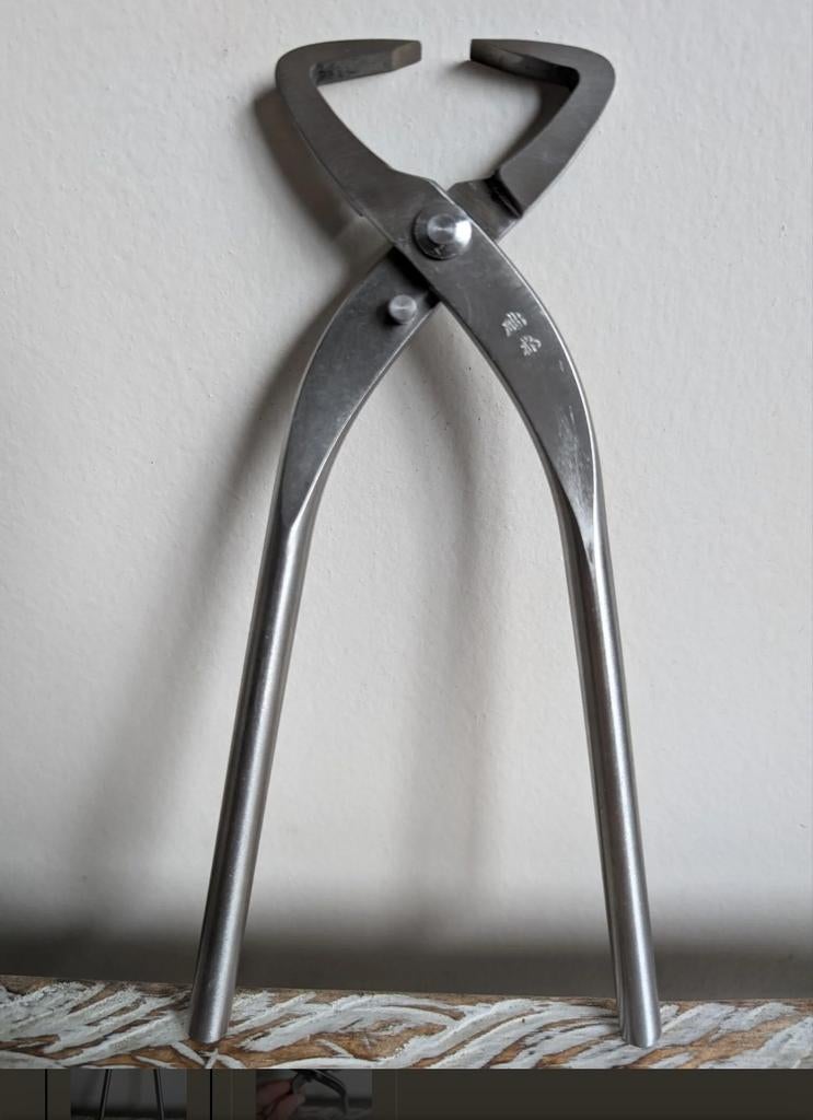 Boomstam splitter 21cm Steenless Steel Nieuw, Bloeit niet, Halfschaduw, Minder dan 100 cm, Overige soorten