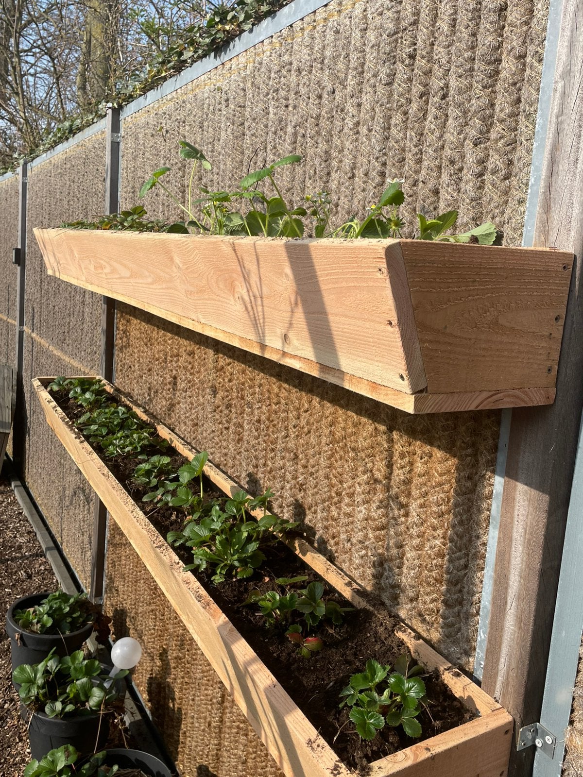 Planten bakken, Tuin en Terras, Kweekspullen, Ophalen, Zo goed als nieuw, Kweekbak