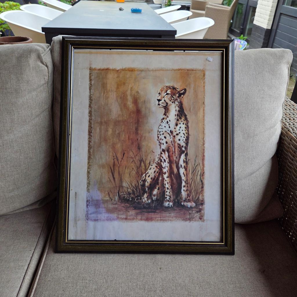 Ingelijste aquarel/kunstdruk zittende cheetah, Ophalen