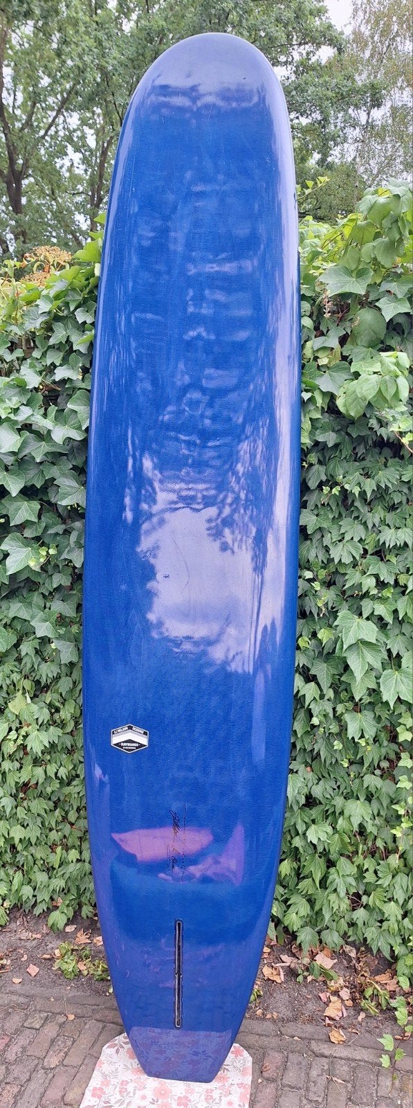longboard 9.5 cj Nelson complete set, Watersport en Boten, Ophalen, Zo goed als nieuw, Longboard, Met koord