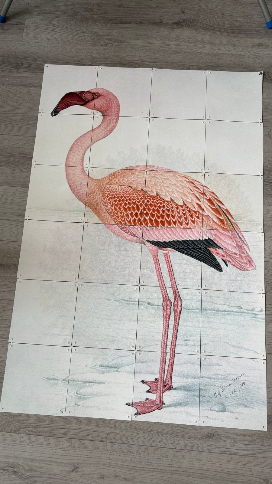 Ixxy Flamingo Poster / Wanddecoratie – 80 x 120 cm, Overige typen, Ophalen of Verzenden, Zo goed als nieuw, 75 tot 100 cm