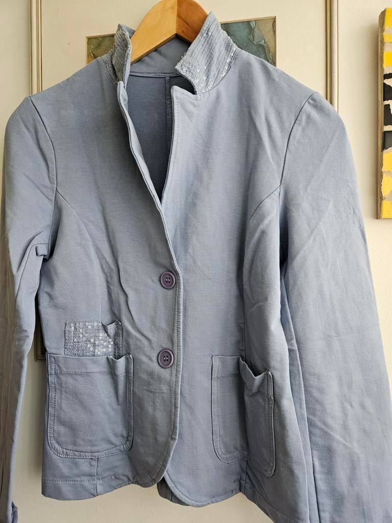 Blazer vestje, Blauw, Ophalen of Verzenden, Zo goed als nieuw, Jasje