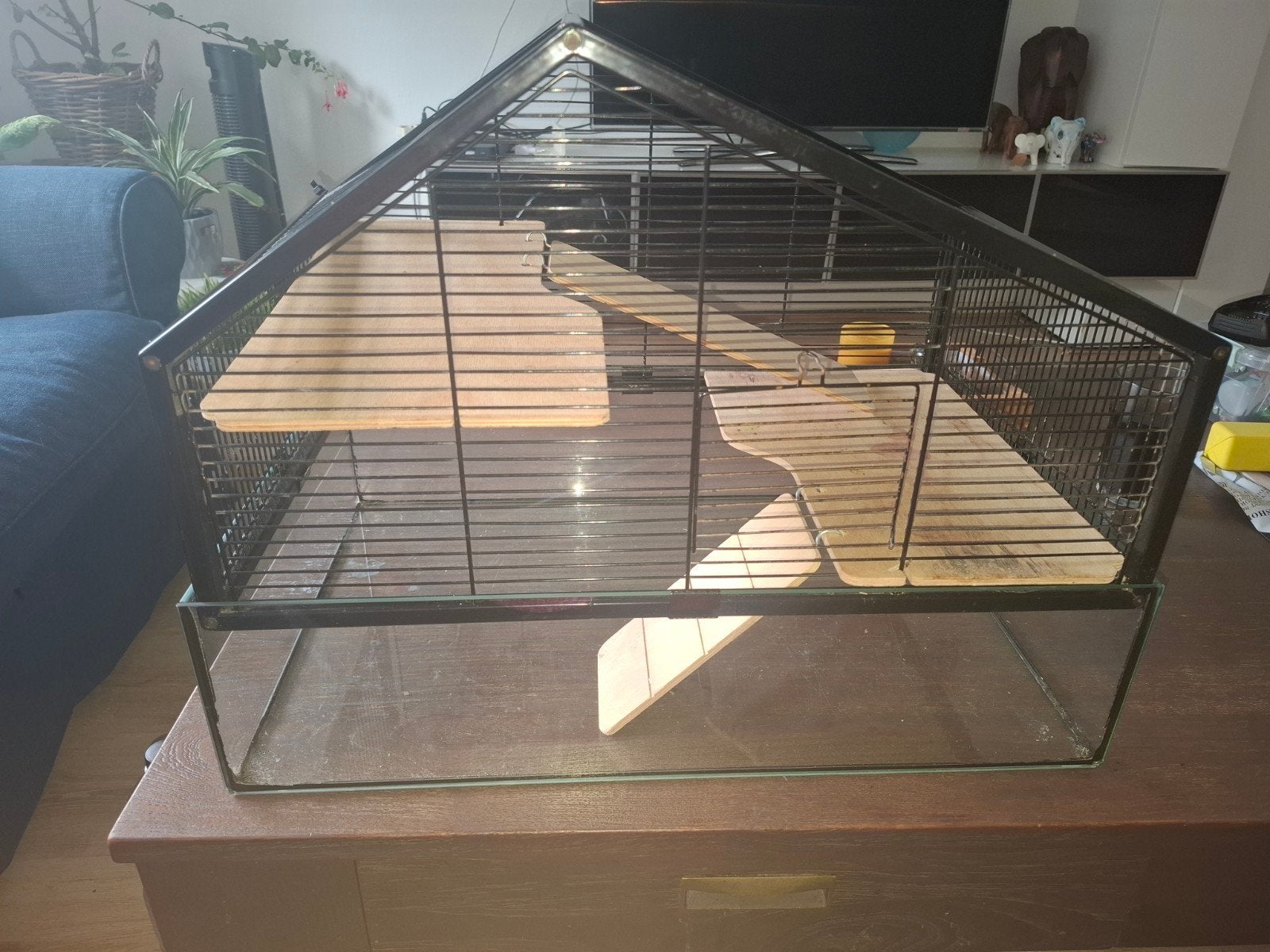 Hamsterkooi, Ophalen, Gebruikt, Hok, Hamster