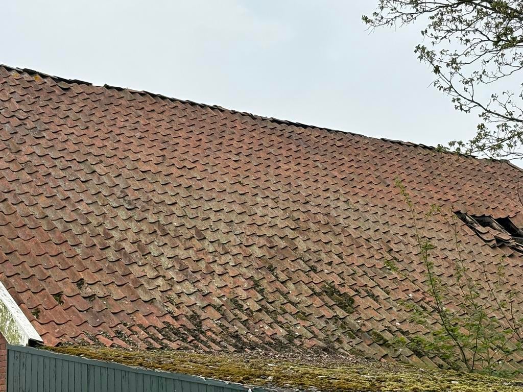 3600 oude holle Hollandse dakpannen., Doe-het-zelf en Verbouw, Dakpannen en Dakbedekking, Ophalen, Gebruikt, Steen of Klei, 15 m² of meer