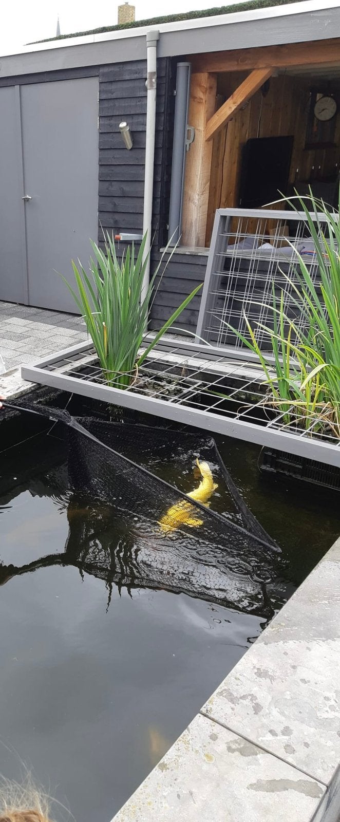 Vijver beveiliging voor kind en reiger, Ophalen, Zo goed als nieuw