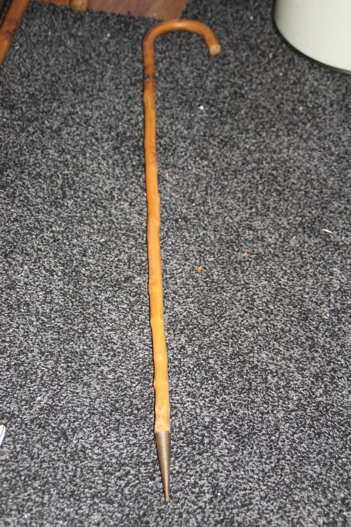 wandelstok met button valkenburg, Ophalen of Verzenden, Gebruikt