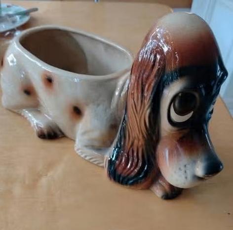 Leuke vintage hond plantenbak van Jema uit België, Ophalen of Verzenden, Overige soorten, Halfschaduw, Minder dan 100 cm