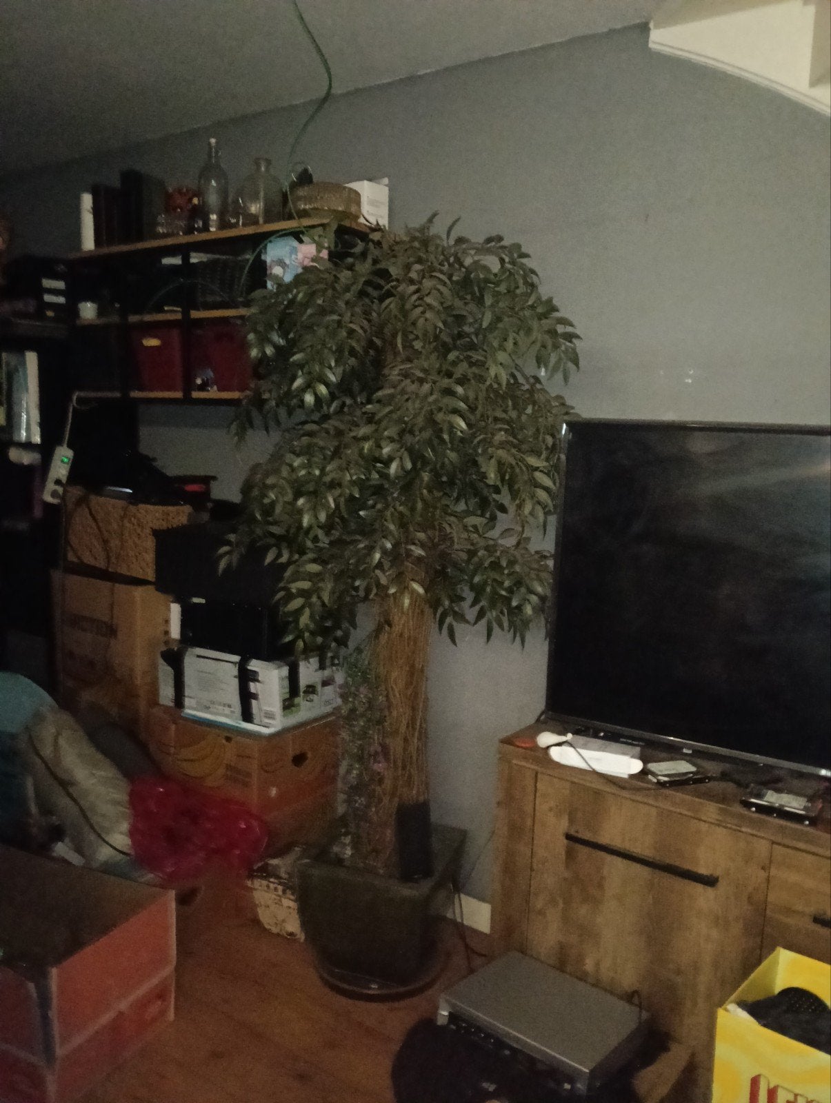 Grote kunstplant ficus, 180 cm hoog, inclusief pot, Ophalen, Binnen, Met pot of vaas, Kunstplant