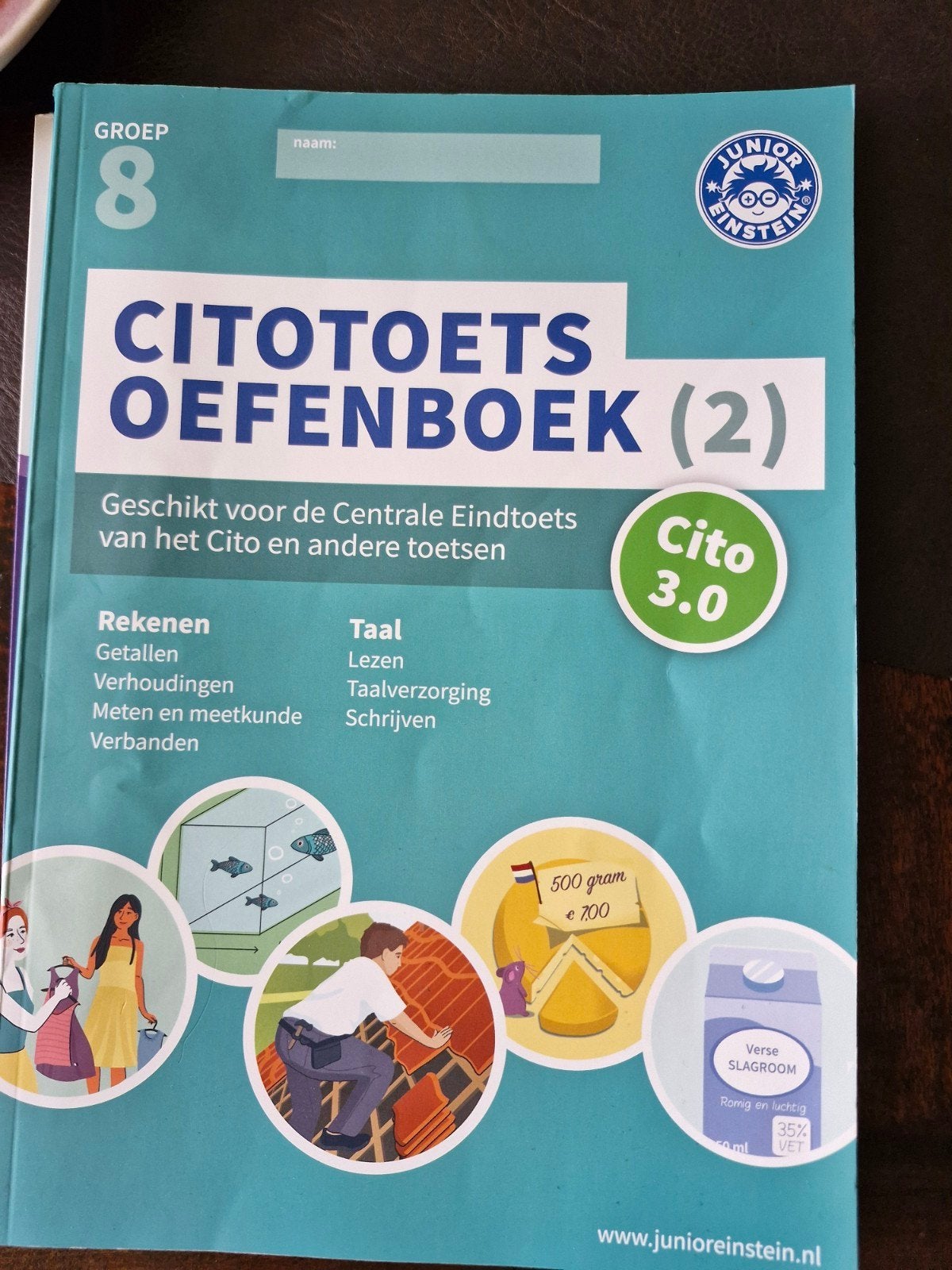 Citotoets Oefenboek (2) groep 8, Boeken, Ophalen of Verzenden, Zo goed als nieuw, Overige niveaus, Nederlands