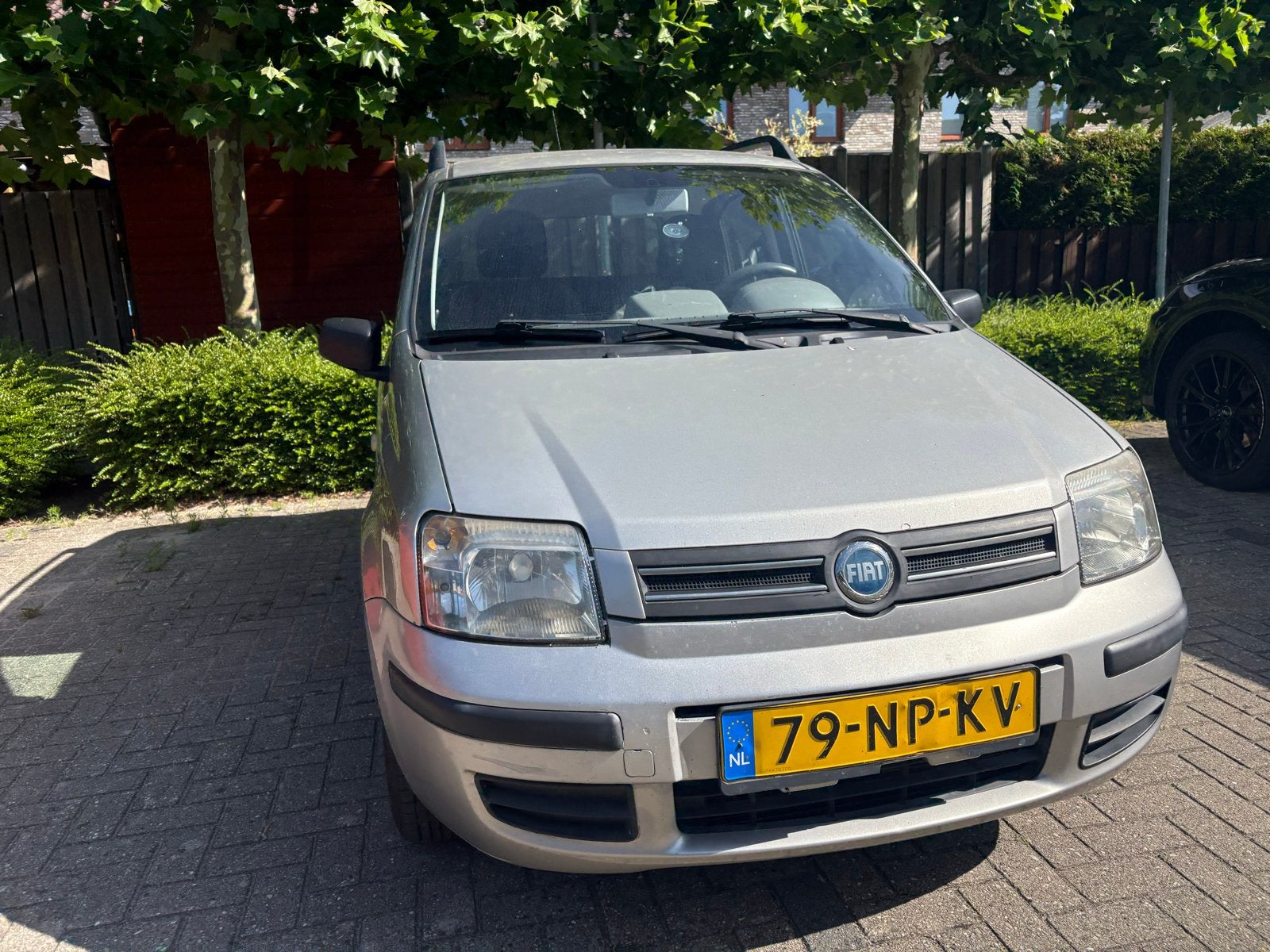 Fiat Panda 1.2 | Licht grijs | in goede staat, Voorwielaandrijving, Origineel Nederlands, Handgeschakeld, Particulier