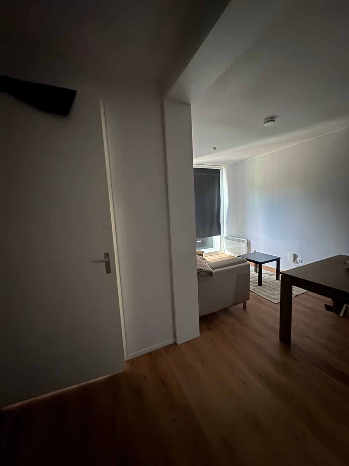 Shared one bedroom apartament