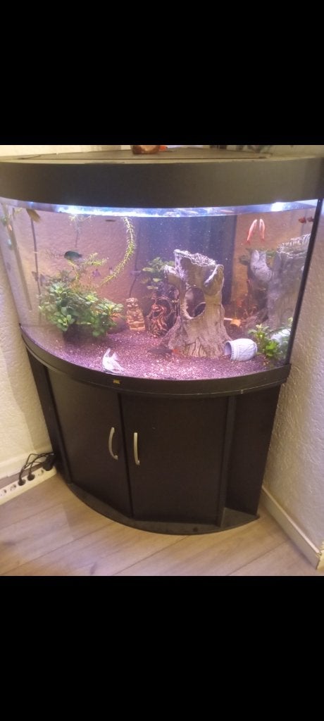 Aquarium, Ophalen, Zo goed als nieuw, Leeg aquarium, Juwel