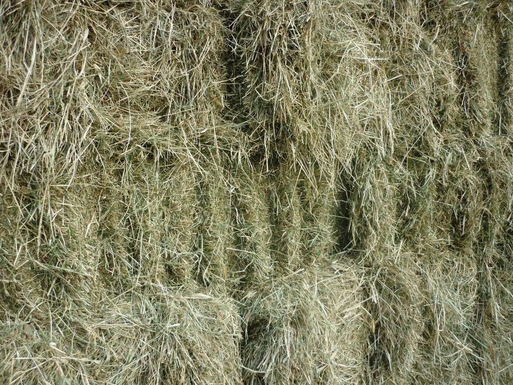 Gezocht Hooi omgeving beuningen gld, Ophalen, Vee