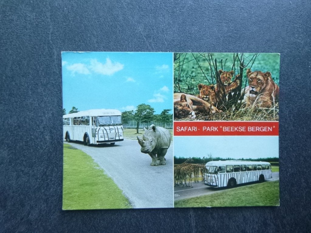 Hilvarenbeek, Beekse Bergen, Safaripark/neushoorn/bus, Verzenden, 1980 tot heden, Gelopen, Noord-Holland