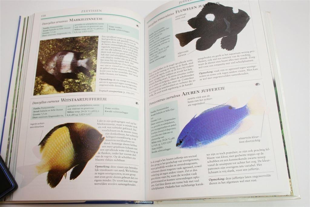 Aquarium Vraagbaak — Alles over het Houden van Vissen, Ophalen of Verzenden, Gelezen, Vissen