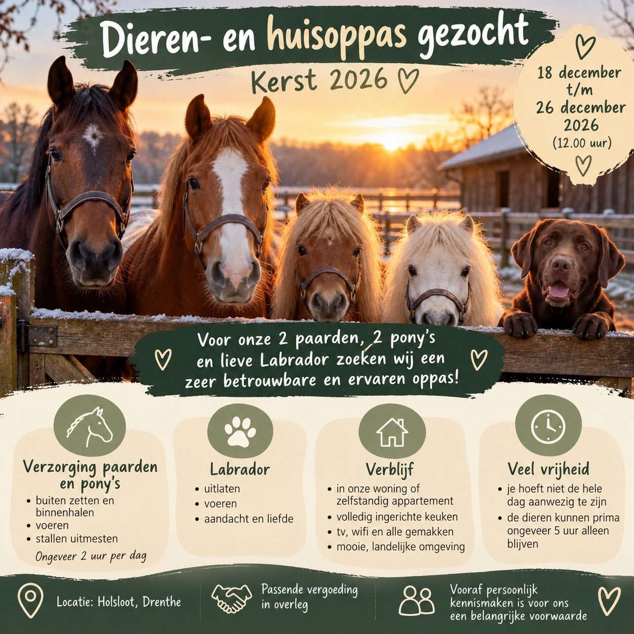 Paarden oppas gezocht