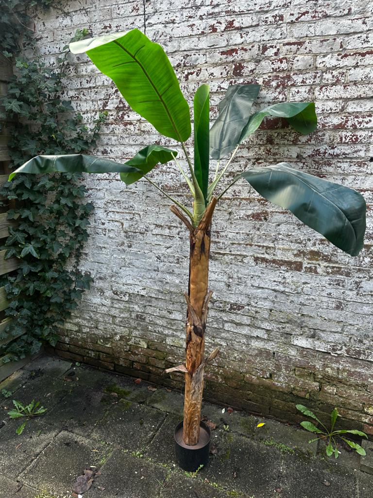 Grote Kunst Bananenboom - Realistische Decoratie, Ophalen, Binnen, Groen, Kunstplant