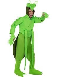 Sprinkhaan pak, Kleding | Heren, Verzenden, Gedragen, Maat 56/58 (XL), Carnaval