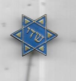STER VAN ISRAEL SPELD, Verzamelen, Speldjes, Pins en Buttons, Gebruikt, Speldje of Pin, Stad of Land, Ophalen of Verzenden