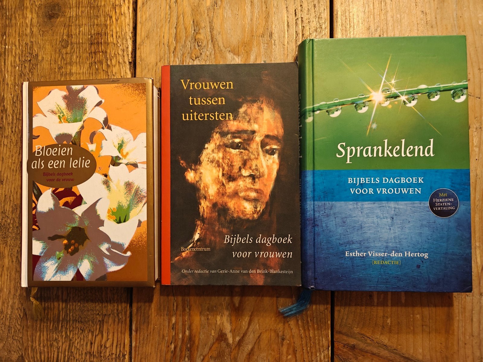 3 Bijbelse dagboeken voor vrouwen., Boeken, Godsdienst en Theologie, Ophalen of Verzenden, Zo goed als nieuw