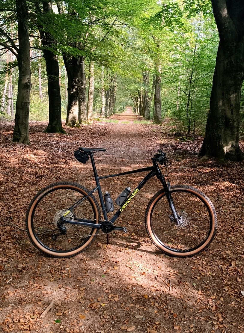 Cannondale Trail SL2, Fietsen en Brommers, Fietsen | Mountainbikes en ATB, 57 cm of meer, Hardtail, Heren, Zo goed als nieuw