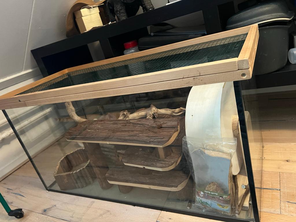Glazen hamsterkooi/Terrarium met accessoires te koop, Kooi, Zo goed als nieuw, Hamster, 75 tot 110 cm