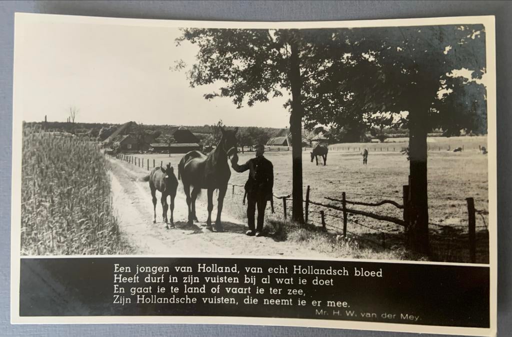 Een jongen Holland met paarden, Ophalen of Verzenden, Voor 1920, Ongelopen, Zuid-Holland