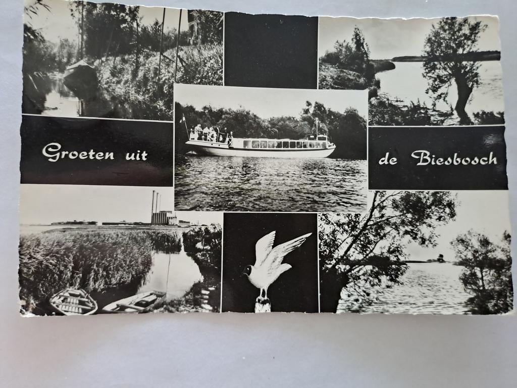 Biesbosch,  groeten uit, Ophalen of Verzenden