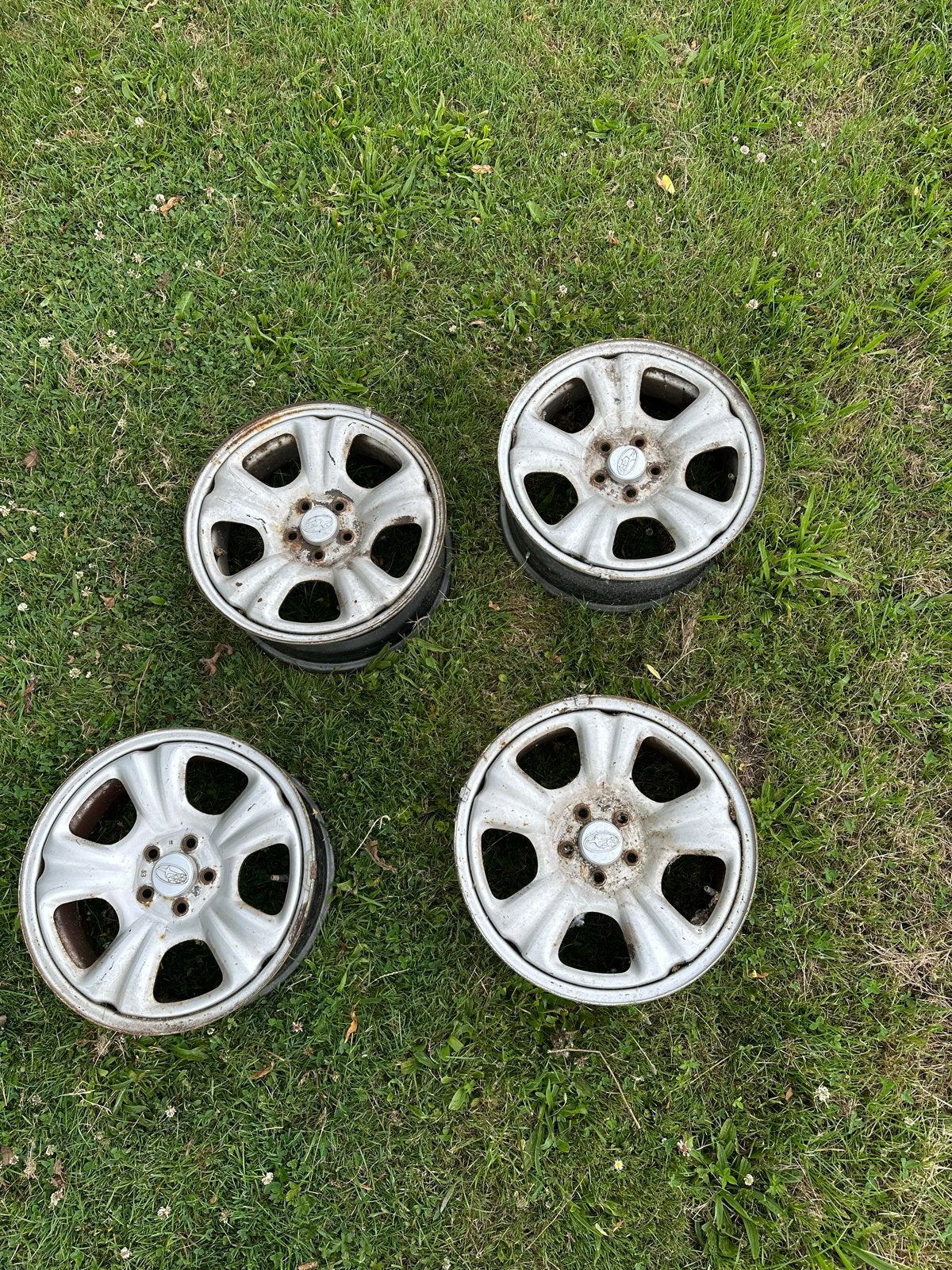 Subaru Forester Velgen 16 inch, Ophalen, Gebruikt, Velg(en), 16 inch