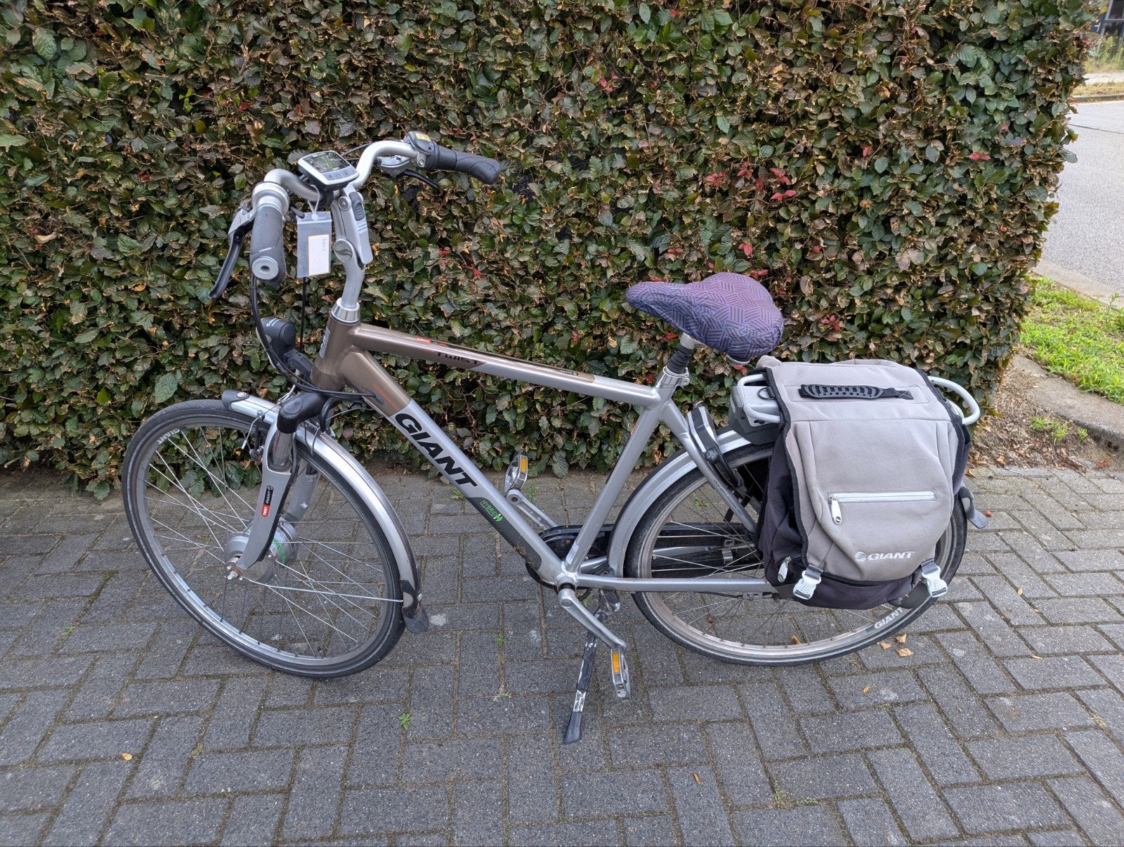 Giant twist go double e-bike met 2 accu's, Ophalen, Gebruikt, Minder dan 10 versnellingen, Giant
