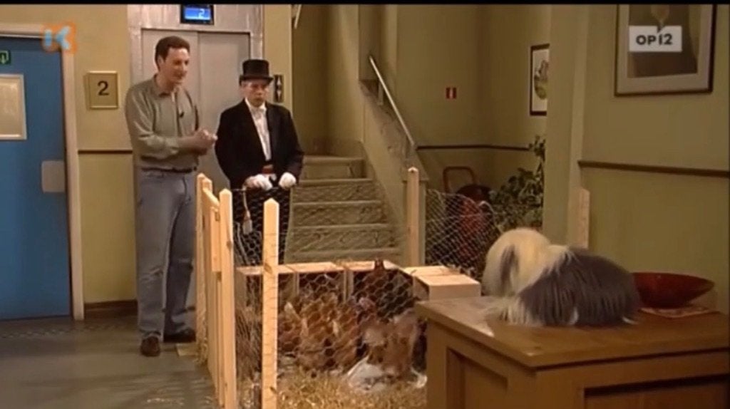 Samson & Gert Afleveringen - DVD Collectie, Gebruikt, Alle leeftijden, Tv-serie, Familie