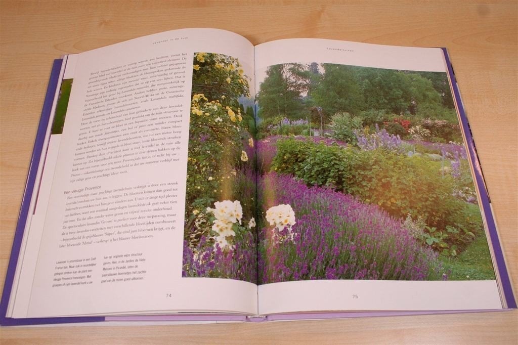Alles over lavendel — Teelt, verzorging, recepten, decoratie, Ophalen of Verzenden, Zo goed als nieuw, Bloemen, Planten en Bomen